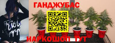 ECSTASY Балашиха