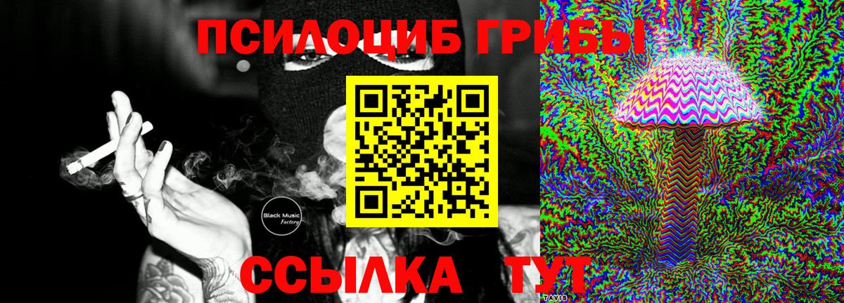 Галлюциногенные грибы Cubensis  Псилоцибиновые грибы мухоморы  Жуковский  Вход с VPN 